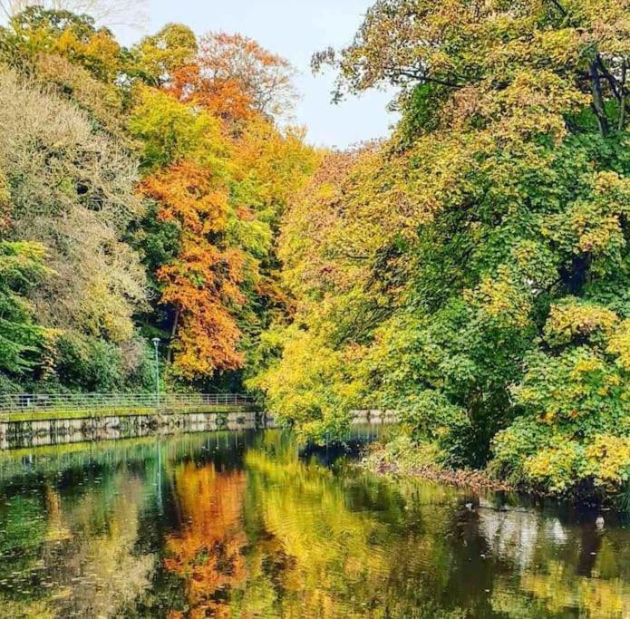 The Nook, Morpeth Town Villa Bagian luar foto